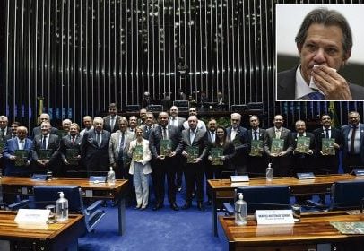 Erva daninha invade plantações e ameaça colheitas em diversas regiões