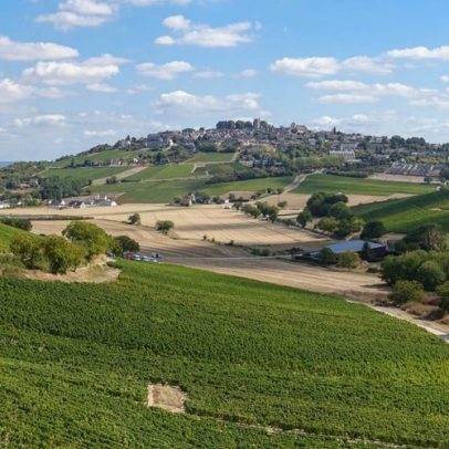 Exportações de vinhos do Vale do Loire alcançam recorde histórico em 24 anos