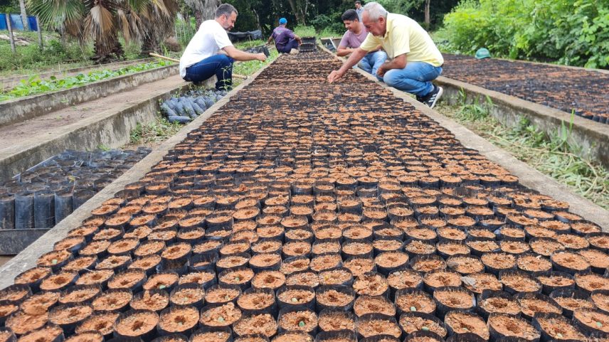 Região do Brejo Paraibano tem temperaturas mais amenas (Foto: Divulgação)