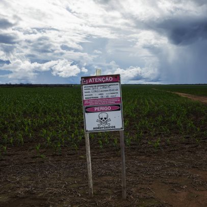Lula assina decreto para reduzir uso de agrotóxicos após recorde de registros no Brasil