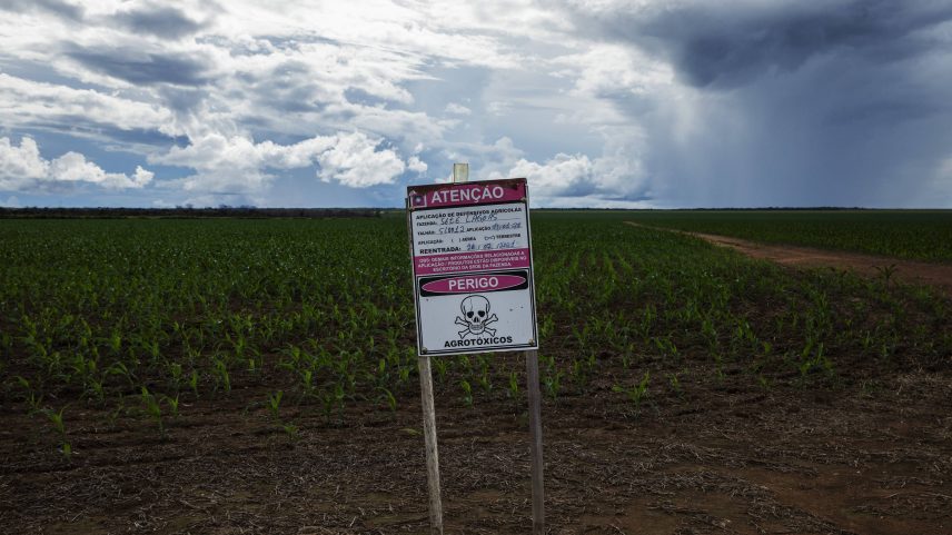 Placa sinaliza o uso de agrotóxico em plantação de milho próximo à área de proteção ambiental Nascentes do rio Paraguai, em Mato Grosso (Foto: Lalo de Almeida - 20.mai.2021/Folhapress)
