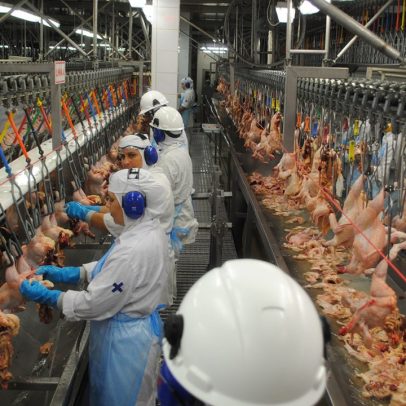 Minerva tenta barrar fusão entre Marfrig e BRF no Cade