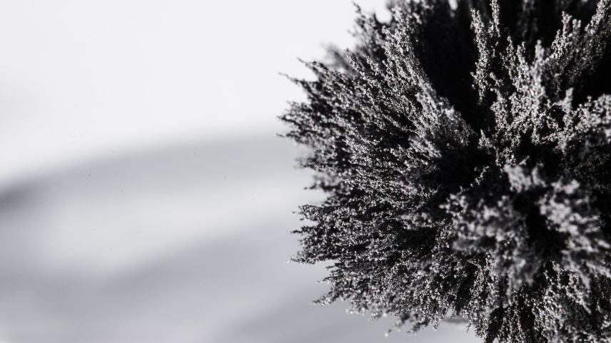 A geada negra ocorre quando massas de ar extremamente frio e seco invadem uma região, fazendo com que a temperatura caia rapidamente abaixo de 0 °C (Foto: Freepik)