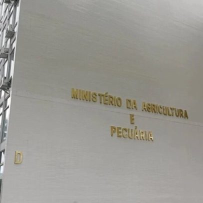 Governo anuncia detalhes do Plano Safra 2025/26 na próxima segunda-feira, 30