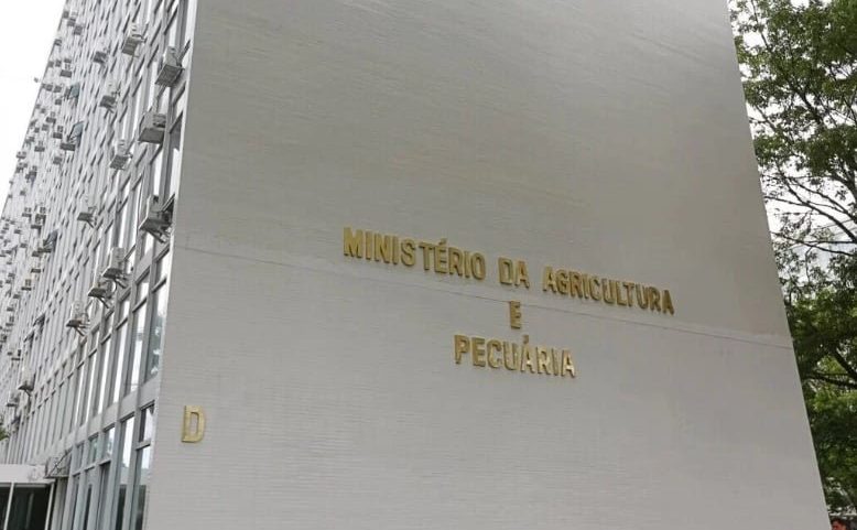 Plano Safra 25/26: valor do próximo Plano Safra continua sendo negociado entre a Fazenda e os ministérios relacionados à agricultura, já que o governo enfrenta restrições orçamentárias e precisa cumprir a meta fiscal deste ano (Foto: Reprodução)