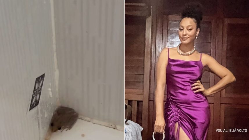 Sheron Menezzes foi atacada por perereca (Foto: Reprodução/Instagram)