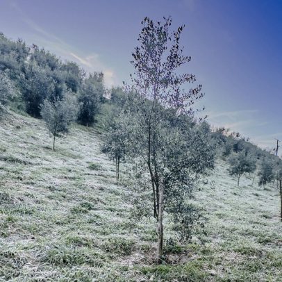 Frio intenso atinge o Centro-Sul e pode trazer neve para áreas serranas do RS e SC