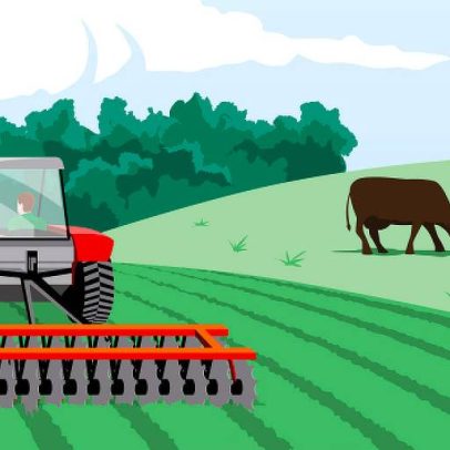 CNA Senar promove capacitação para agricultores em todo o Brasil