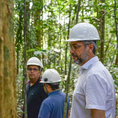 Justiça determina suspensão da exploração de madeira apoiada por políticos famosos