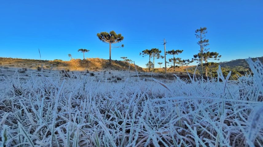 Geada em SC, termômetros abaixo de -3ºC. (Foto: Mycchel Legnaghi/São Joaquim Online/Divulgação)