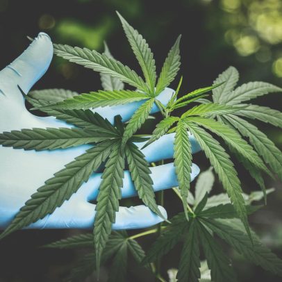 Maconha aumenta em até 100% o risco de morte por doenças cardíacas, revela estudo