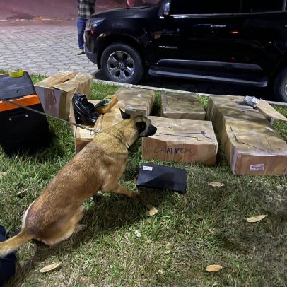 Polícia Federal encontra 200kg de drogas durante operação na Rodovia Presidente Dutra