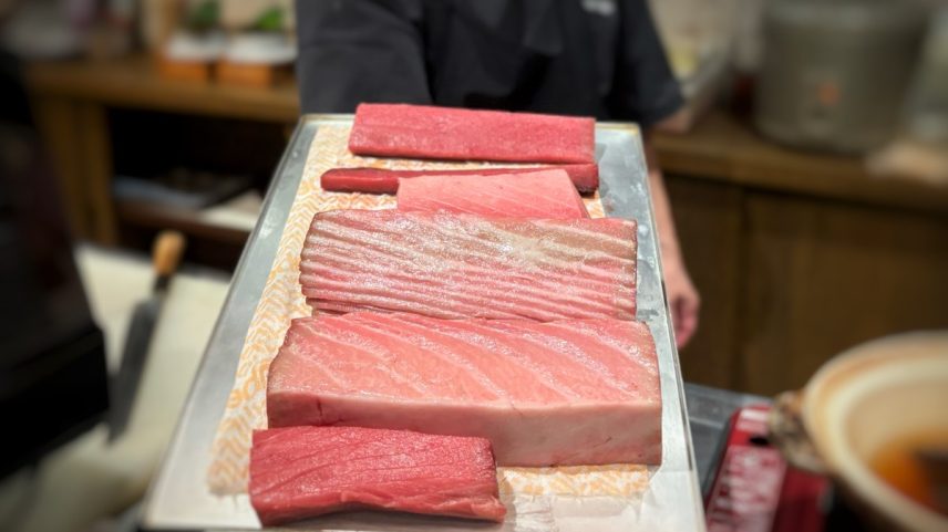 Atum bluefin do Keito — Foto: Divulgação