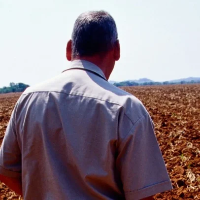 Zimbabwe ainda debate a questão da terra 25 anos após a saída de fazendeiros brancos