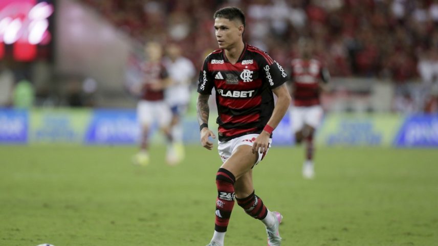 Luiz Araújo em ação pelo Flamengo (Foto: Marcelo Theobald/Agência O Globo)