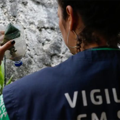 Aumento de infecções transmitidas por animais preocupa especialistas em saúde pública