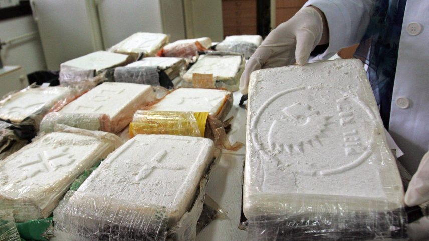 Atualmente, mais pasta base de cocaína, a base da substância final, pode ser extraída de uma planta de coca (Foto: Getty Images/BBC News Brasil)