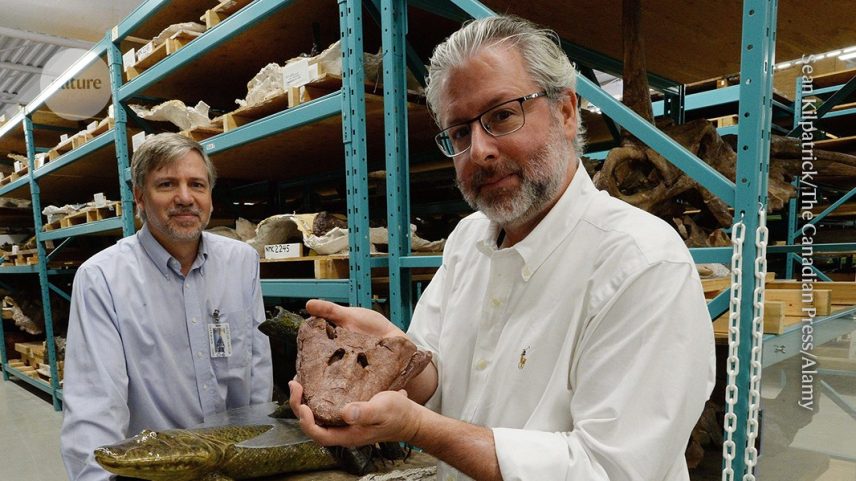 Paleontólogo Neil Shubin (à direita), que foi nomeado para liderar a Academia Nacional de Ciências dos EUA, exibe Tiktaalik roseae. (Foto: Sean Kilpatrick/The Canadian Press/Alamy)