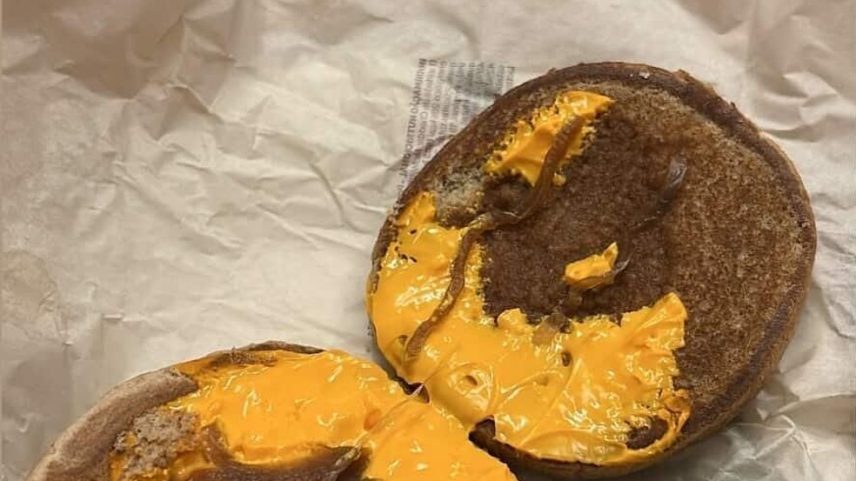 Cliente recebeu Cheddar McMelt sem carne (Foto: Reprodução)