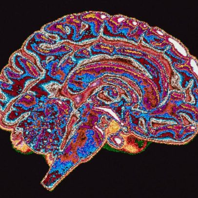 Cientistas analisam a natureza corrupta do ser humano e suas implicações sociais