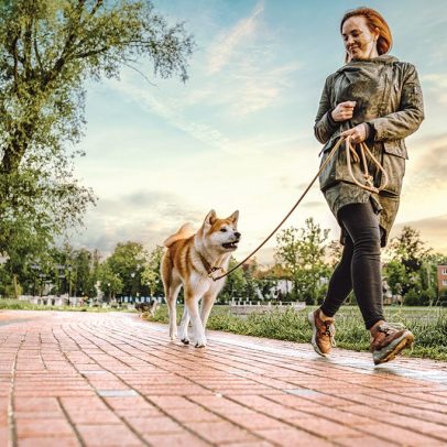 Cachorros e gatos devem usar protetor solar para se proteger do sol intenso