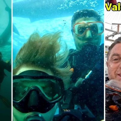 Luciano Huck e Benício nadam com tubarões e geram preocupação na família