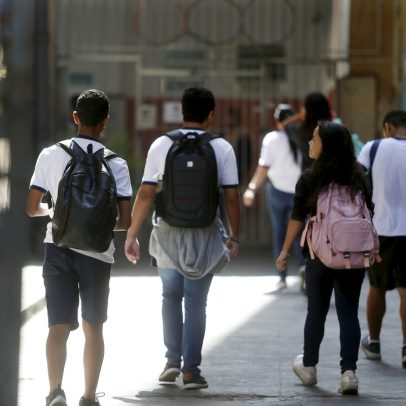 Ciclos de organização não impactam negativamente a qualidade da educação