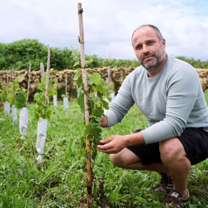 “Vinhedos revelam histórias e memórias de gerações passadas”