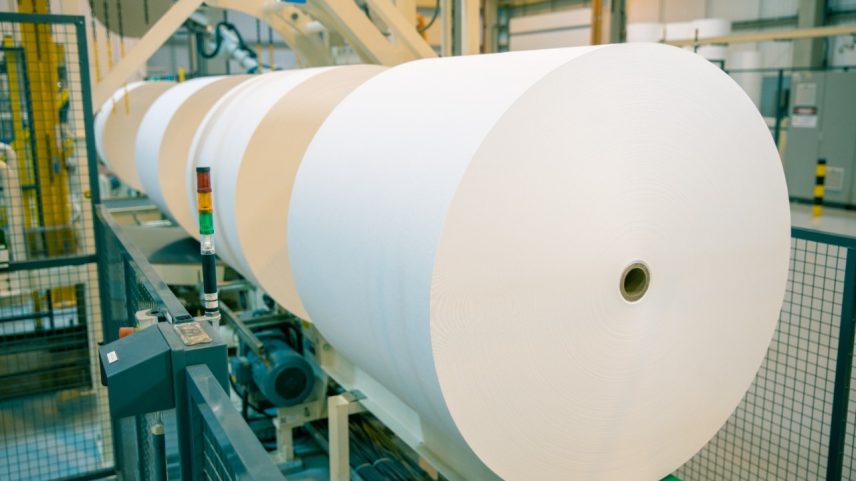 Foto: Klabin/Divulgação