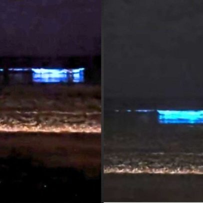 Mar de Santa Catarina brilha com fenômeno de bioluminescência em suas praias