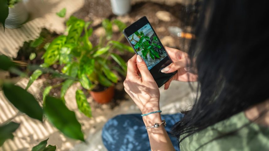 Uma mulher saca uma foto a uma planta. (Foto: Daniel Balakov/Getty Images)