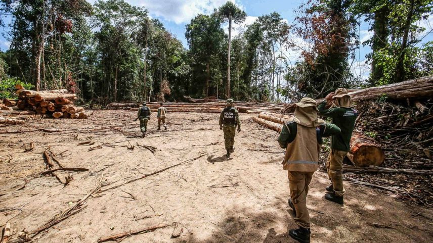 Projetos de carbono na Amazônia: 67% envolvem infratores ambientais multados. (Foto: Alex Ribeiro/Ag.Pará/Divulgação)