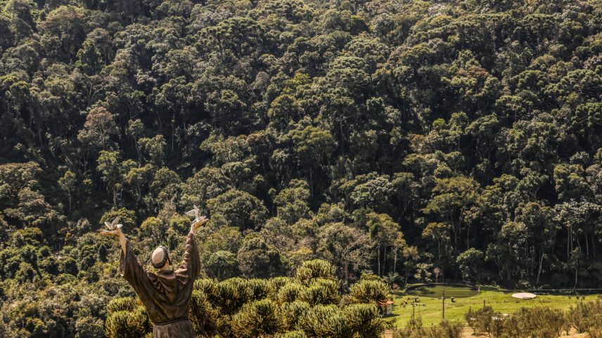 Fazenda Santa Helena, em Maria da Fé (MG), que mantém 70 caixas de som espalhadas pelos olivais, com música erudita 12 horas por dia (Foto: Karime Xavier/Folhapress)