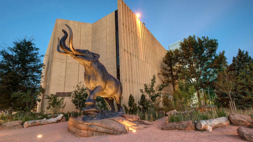 Denver tem sido um importante ponto de pesquisa para paleontólogos (Foto: Divulgação)