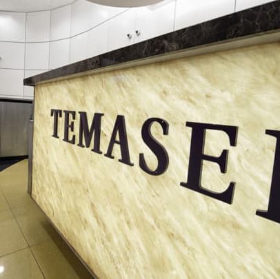 Temasek atinge novo recorde em portfólio apesar de desinvestimentos elevados