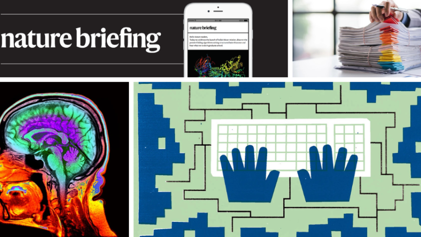Uma ressonância magnética do cérebro (imagem, colorida artificialmente) pode detalhar o risco de perda de memória e outras dificuldades cognitivas. (Foto: Zephyr/SPL)