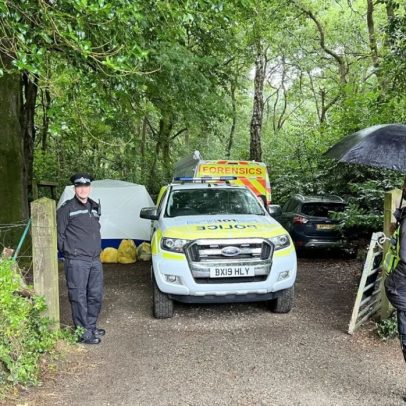 Polícia investiga série de assassinatos após corpos serem encontrados em floresta