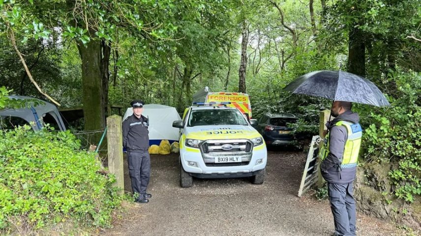 Foco da busca é a área conhecida como Paramoor Woods, uma floresta densa entre as cidades de St Austell e Truro (Foto: Cornwall Live/Reprodução)