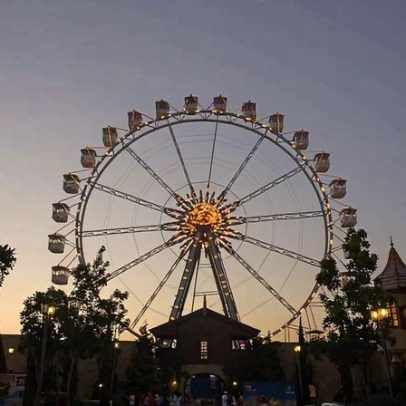 Buser lança rota de São Paulo ao Hopi Hari