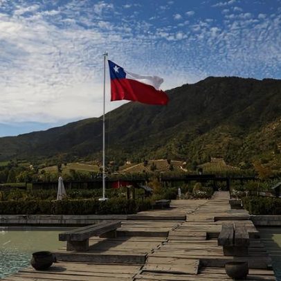 Quatro vinícolas chilenas perto de Santiago para conhecer