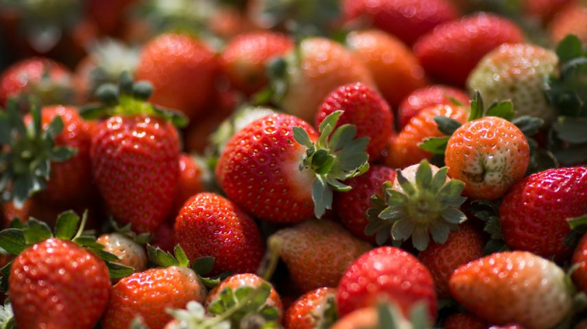 Morangos (Imagem: Creative Commons)