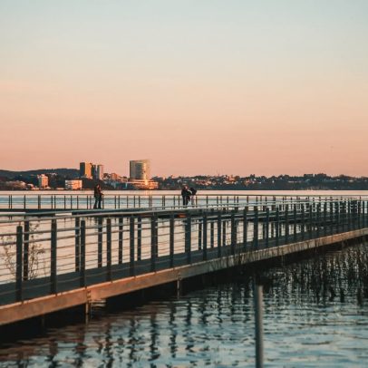 Região Sul se destaca como a 35ª economia global com sua diversidade econômica