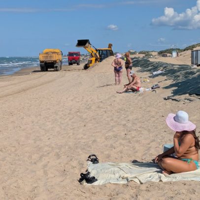 Petroleiros causam desastre ambiental com delfines mortos no turismo russo