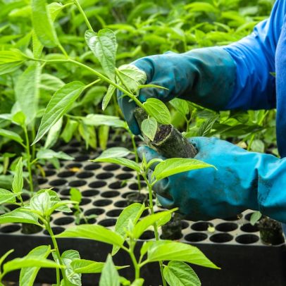 Indústria vê marco legal como oportunidade, aponta pesquisa da CNI