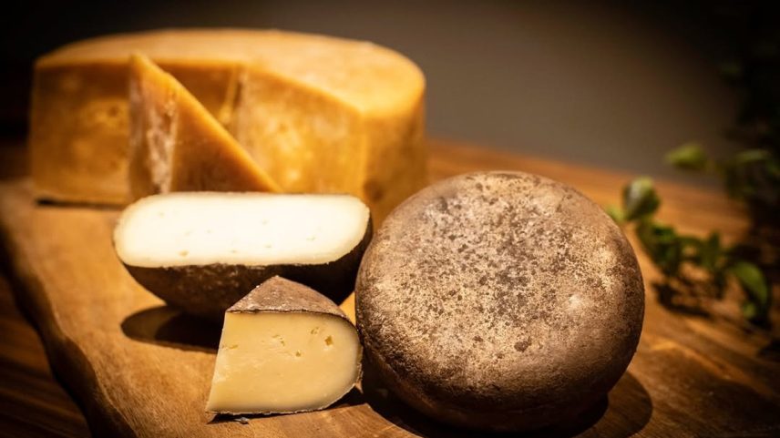 Uma boa notícia para produtores de queijos de excelência em Valença, no sul do estado do Rio de Janeiro: cinco marcas obtiveram o Selo Arte (selo de produção artesanal de excelência) para diversos produtos, incluindo a Du Vale (@duvalequeijos) e Capril do Lago (@caprildolago), apoiadas pelo Instituto Bazzar. (Foto: Divulgação)