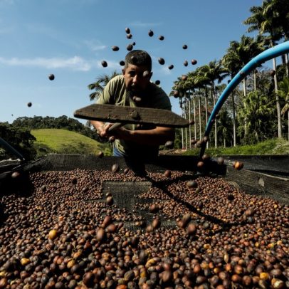 Fazendas históricas do Vale do Paraíba revitalizam produção de café e atraem turistas