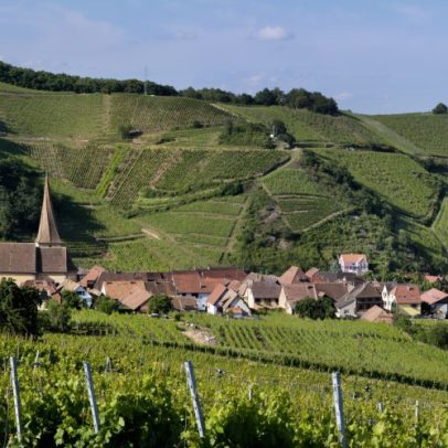 Descubra os encantos da colina Sommerberg nos vinhos da Alsácia Grand Cru