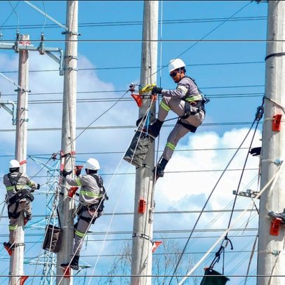 Distribuidoras de energia aumentam investimentos para atender novas regras contratuais
