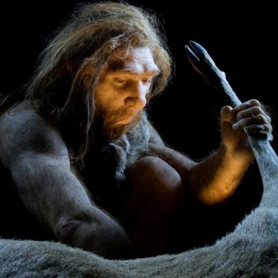 Neandertais extraíam gordura de ossos 100 mil anos antes dos humanos modernos