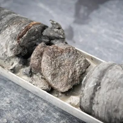 Fóssil de dinossauro é descoberto em estacionamento de museu nos Estados Unidos